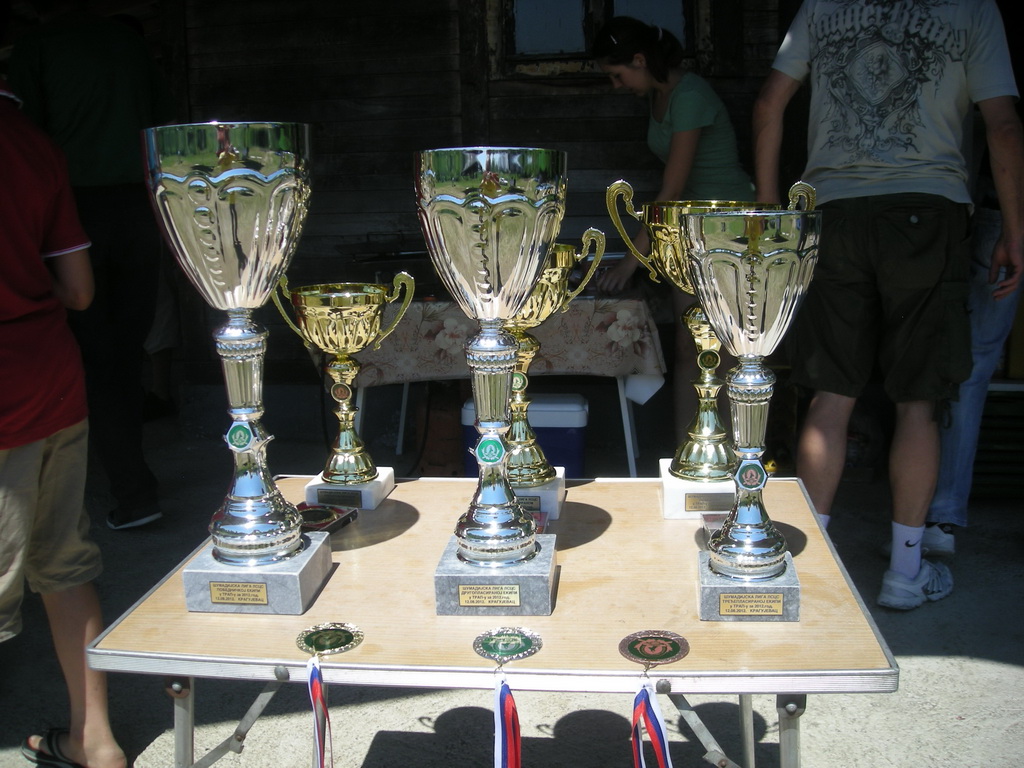 Šumadijska liga 2012.godine